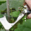 Vine Tying Machine + 10,000 Staples + 20 Rolls of Tape