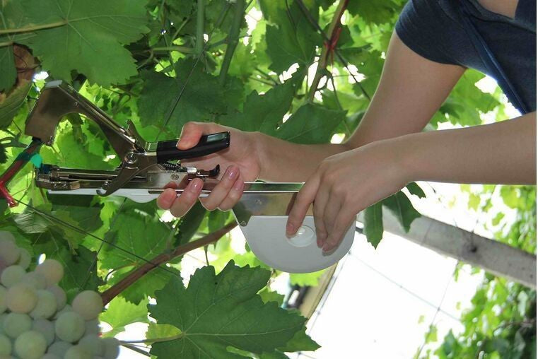 Vine Tying Machine + 10,000 Staples + 20 Rolls of Tape