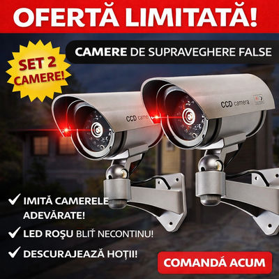 Set 2 x Camere falsa de supraveghere