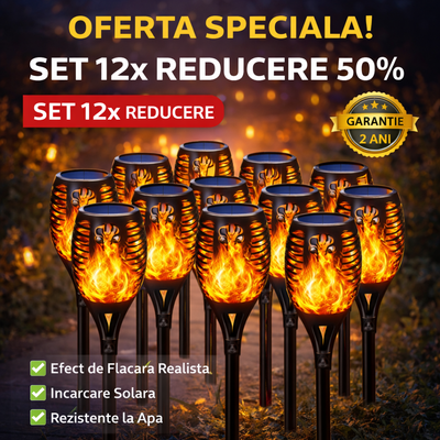 Lichidare de Stoc! Set 12 x Lampa solara tip torta cu efect flacara 51.5 cm