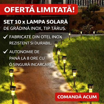 Set of 10 Stainless Steel Solar Garden Lights, Spike Type