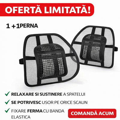 Set 2 perne lombare pentru scaunul de birou