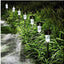 Set of 20 x Stainless Steel Solar Garden Lights, Spike Type